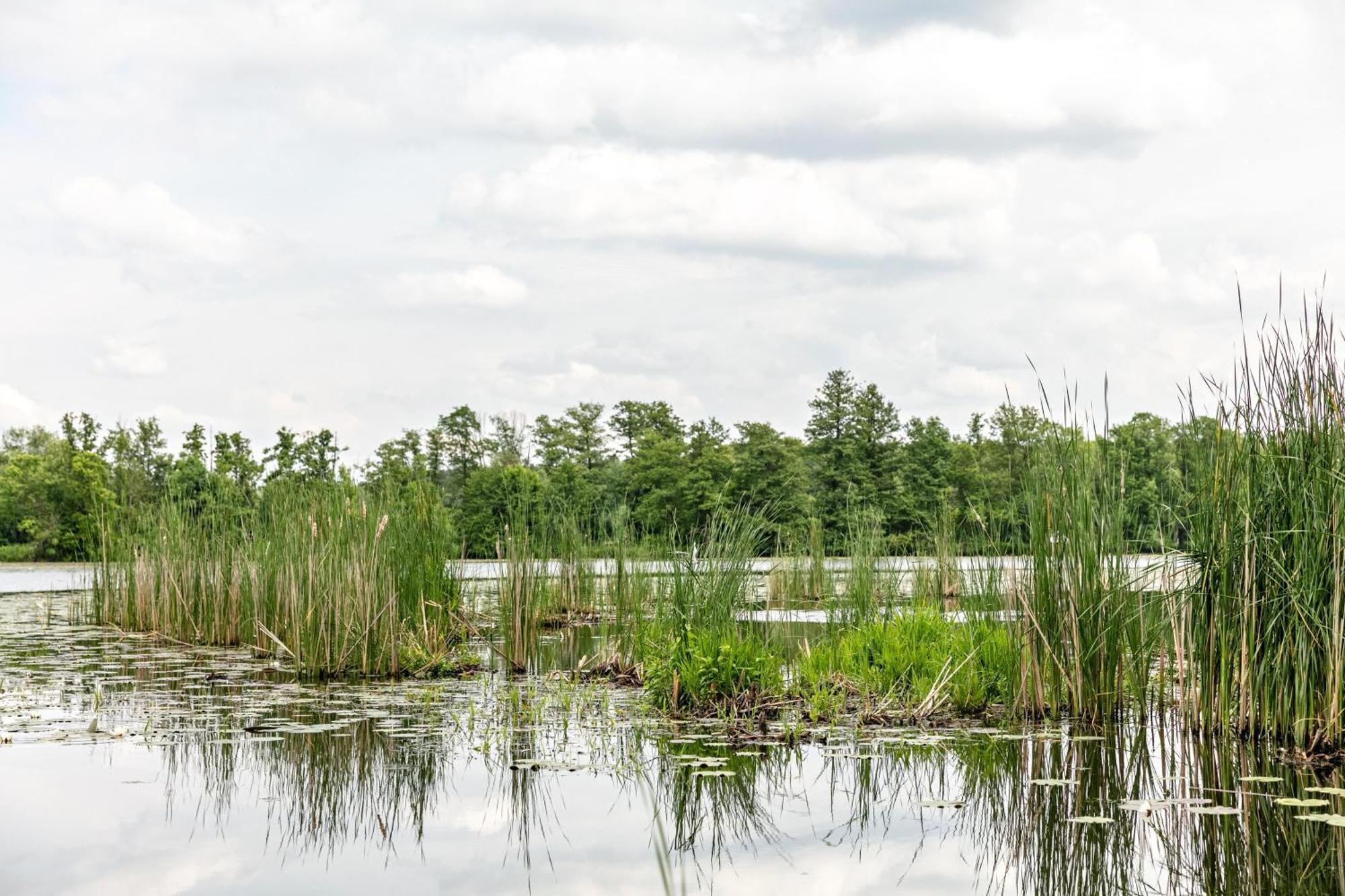 Вілла Haus Am See Кеніґс-Вустергаузен Екстер'єр фото