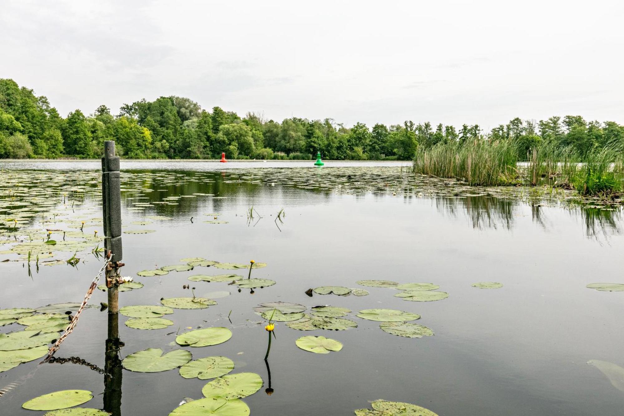 Вілла Haus Am See Кеніґс-Вустергаузен Екстер'єр фото